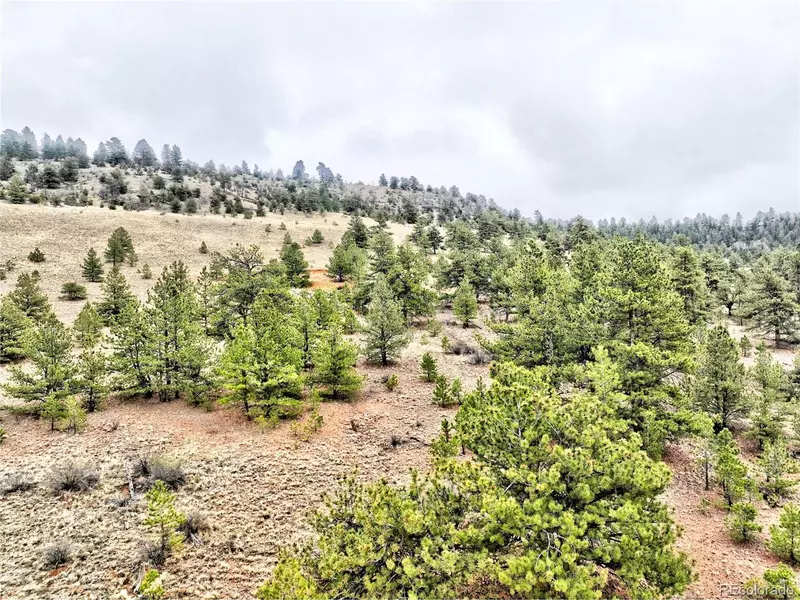 0 Cohonina RD, Hartsel, CO 80449