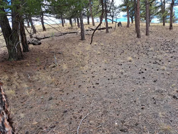 Hartsel, CO 80449,0 Spring ST