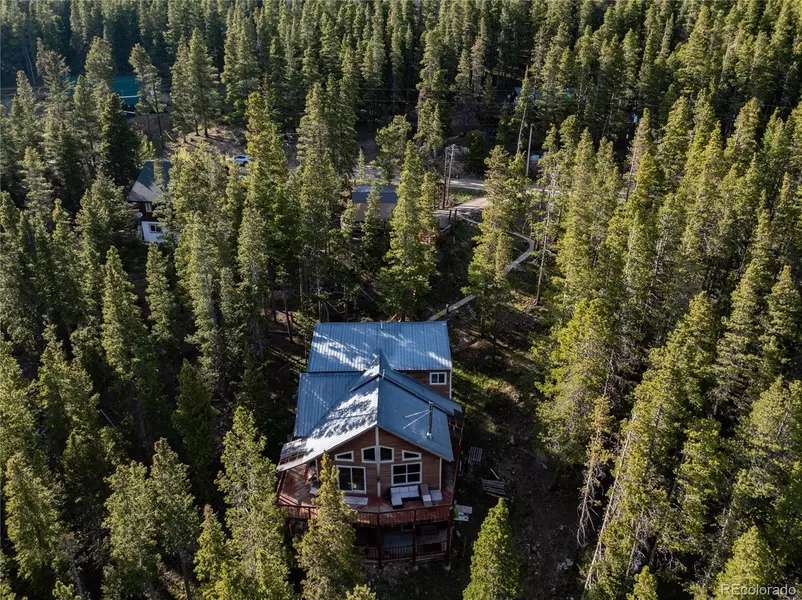 302 Texas DR, Idaho Springs, CO 80452