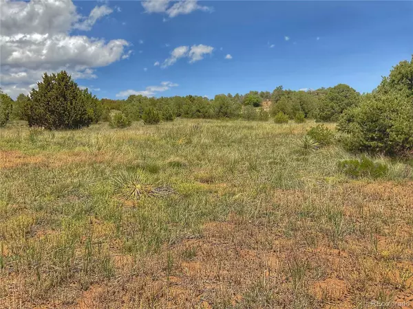 Walsenburg, CO 81089,Lot 25 Comanche DR
