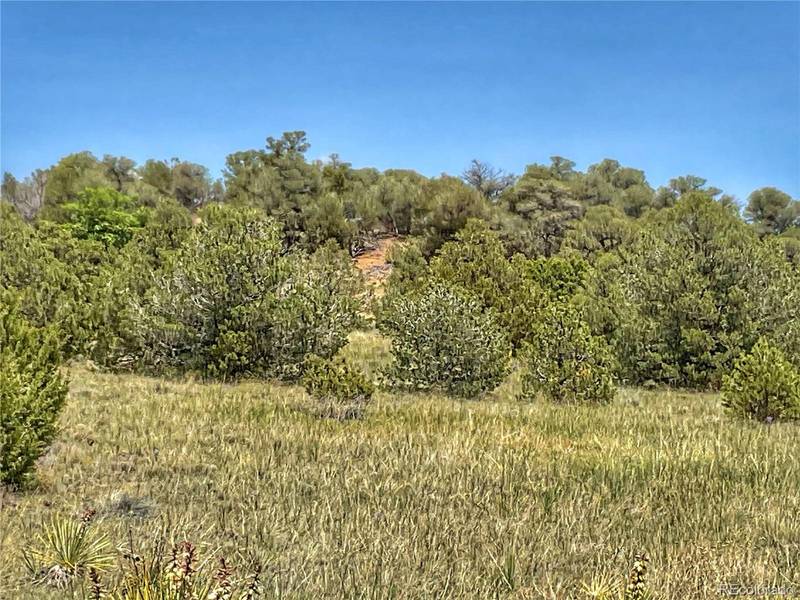 Lot 25 Comanche DR, Walsenburg, CO 81089