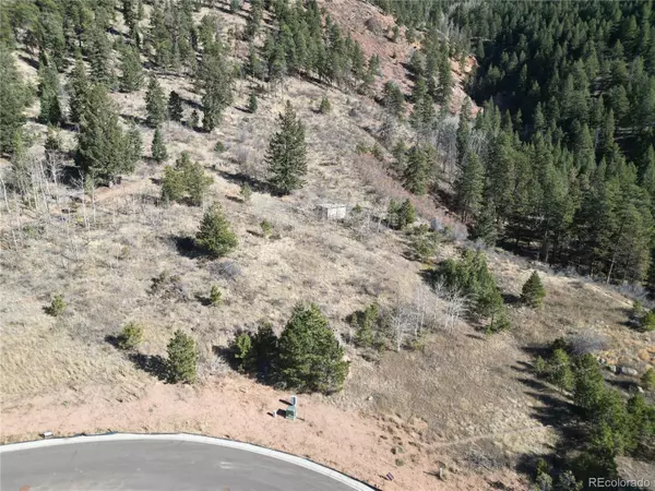 18 Blue Haven PL, Woodland Park, CO 80863