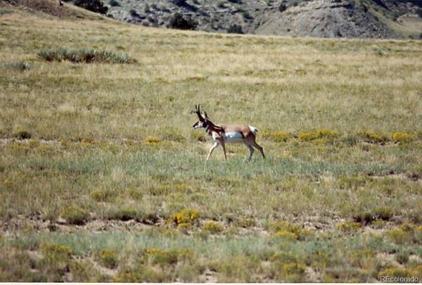 Walsenburg, CO 81089,198 Tyrone Hills