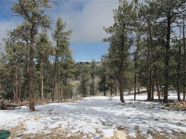 23 Wind Cave CT, Hartsel, CO 80449