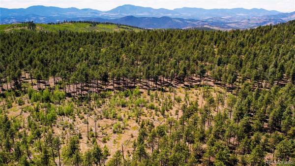 Florissant, CO 80816,Lot 4 County Road 51