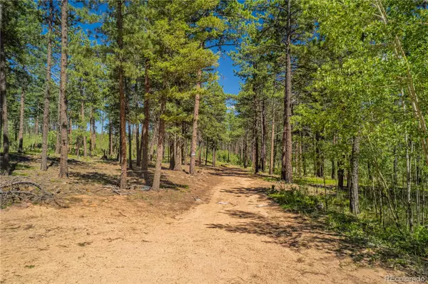 Florissant, CO 80816,Lot 4 County Road 51
