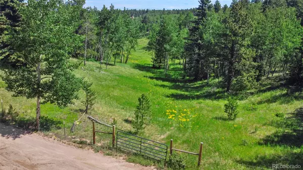 Woodland Park, CO 80863,0 Schubarth TRL