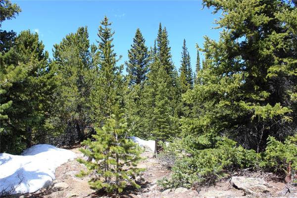 Group 6-3 Lamartine RD, Idaho Springs, CO 80452