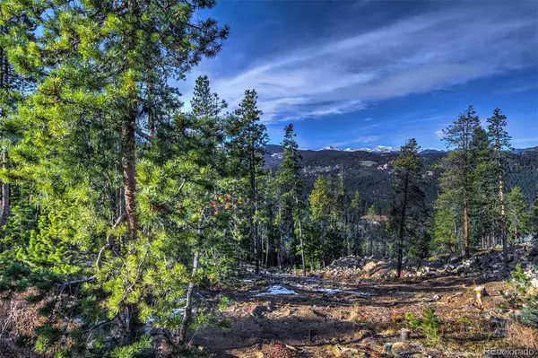 Evergreen, CO 80439,7111 Lynx Lair RD