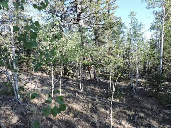 Como, CO 80432,170 Buckskin CT