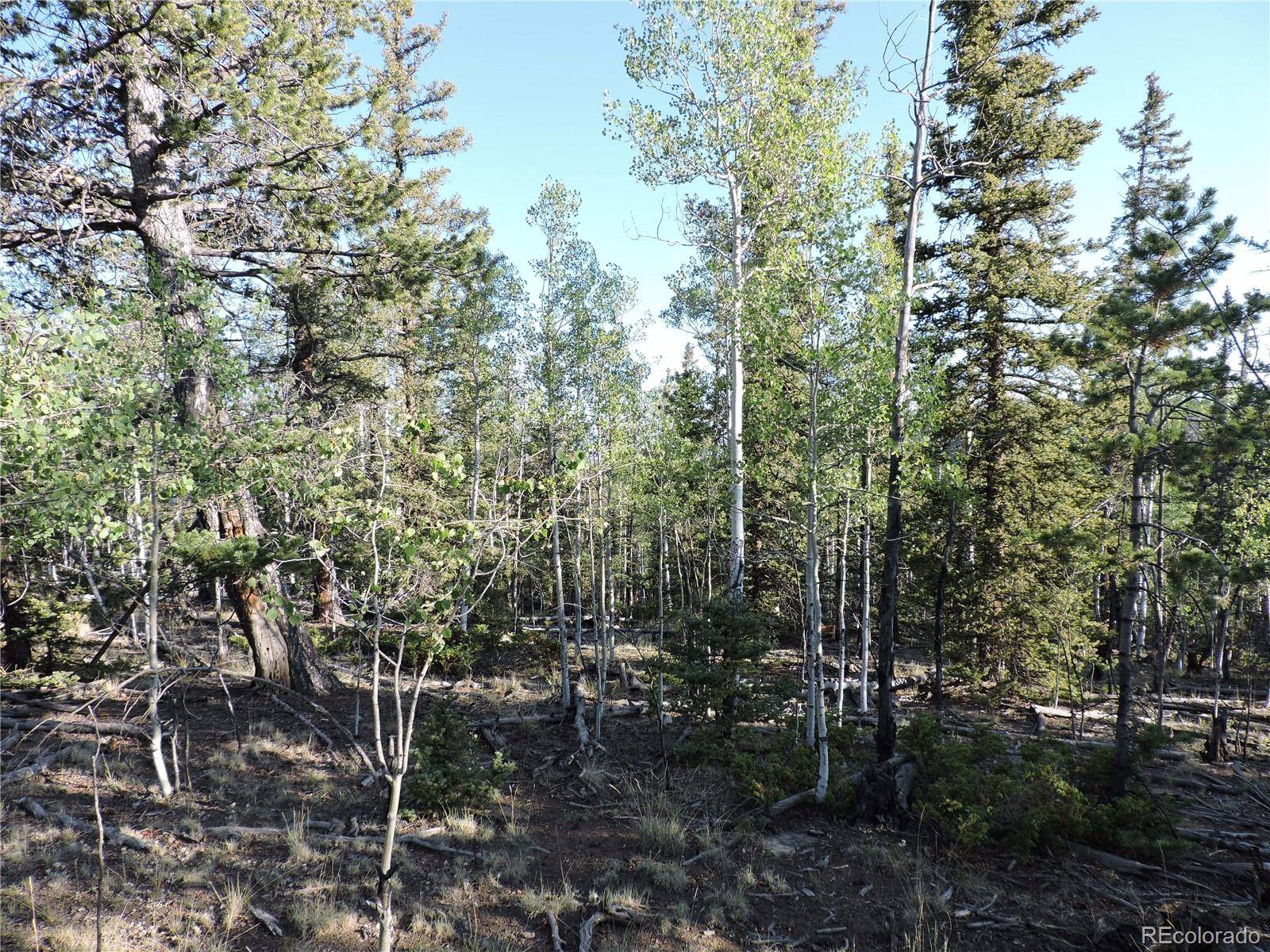 Como, CO 80432,170 Buckskin CT