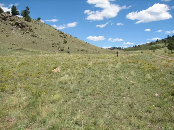 Hartsel, CO 80449,3431 Dog Chief TRL