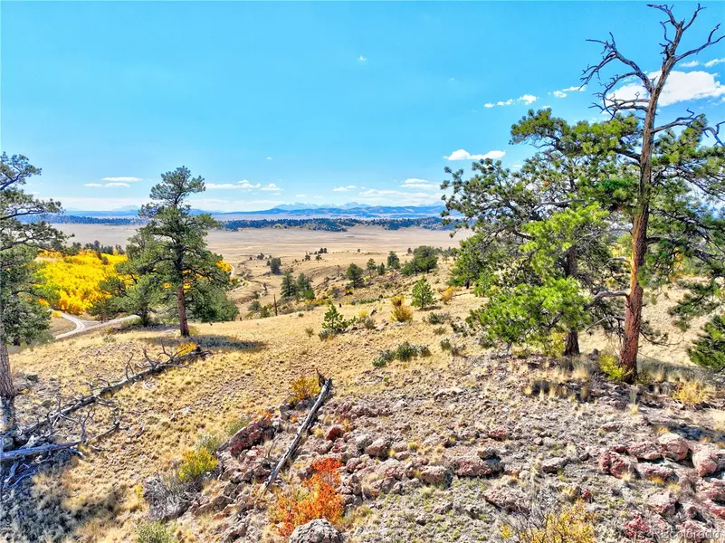 3431 Dog Chief TRL, Hartsel, CO 80449