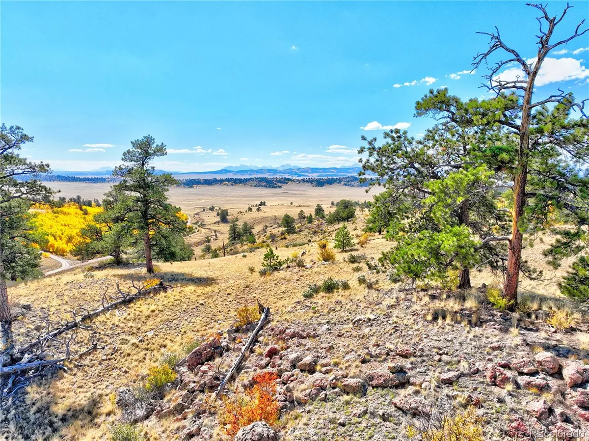 Hartsel, CO 80449,3431 Dog Chief TRL