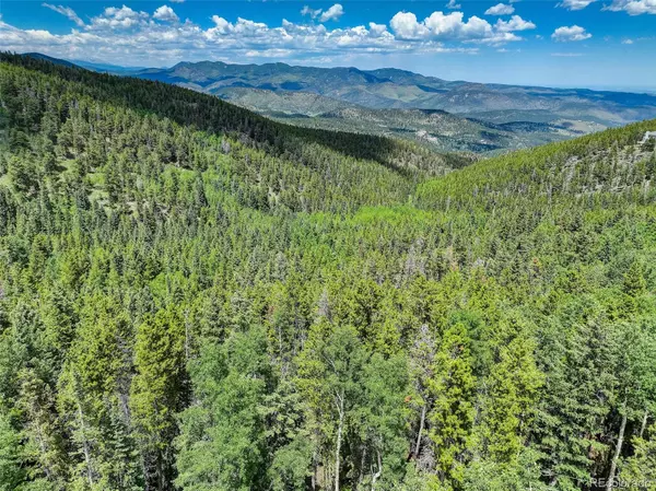 Evergreen, CO 80439,Lot 22 Castlewood CT