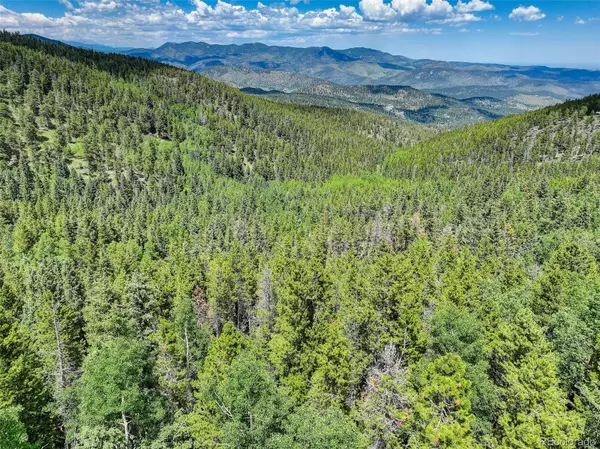 Evergreen, CO 80439,Lot 22 Castlewood CT