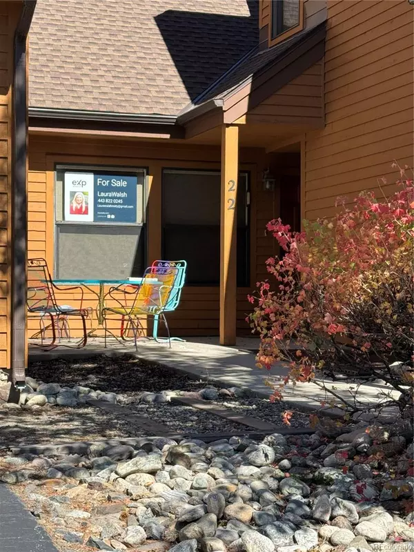 100 Norse LN #22, Dillon, CO 80435