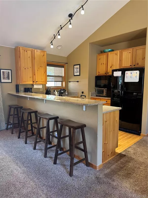 Dillon, CO 80435,100 Norse LN #22