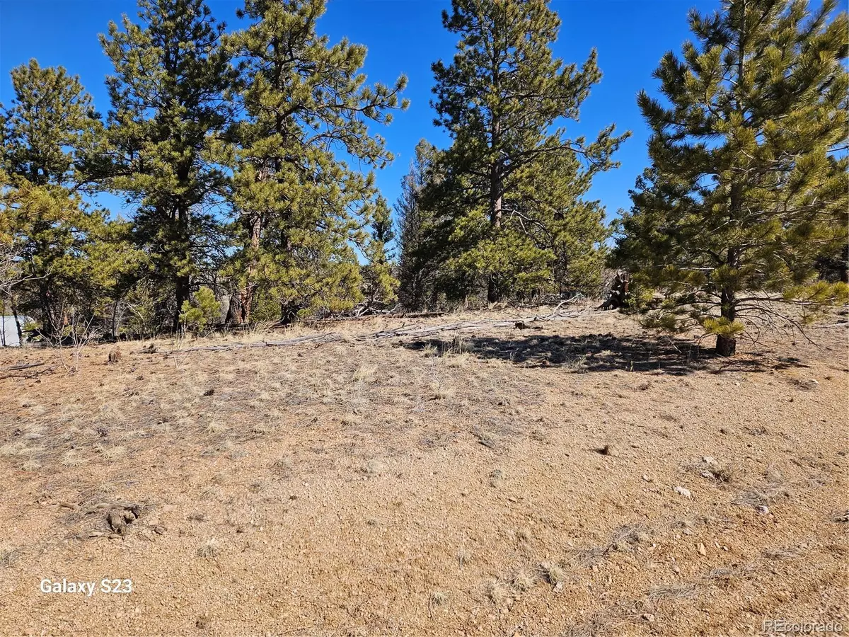 Hartsel, CO 80449,825 Frees LOOP