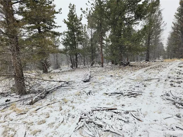 Hartsel, CO 80449,825 Frees LOOP