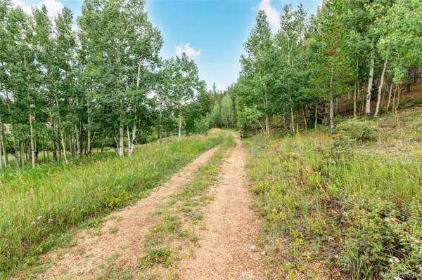 Bailey, CO 80421,427 Wise RD
