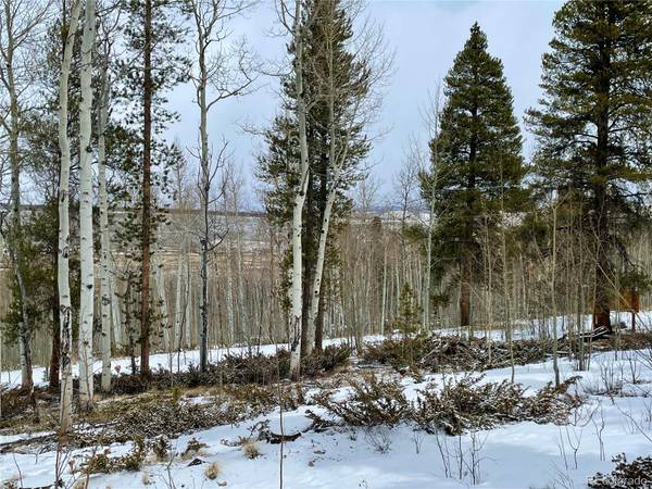 Twin Lakes, CO 81251,890 Lodgepole DR