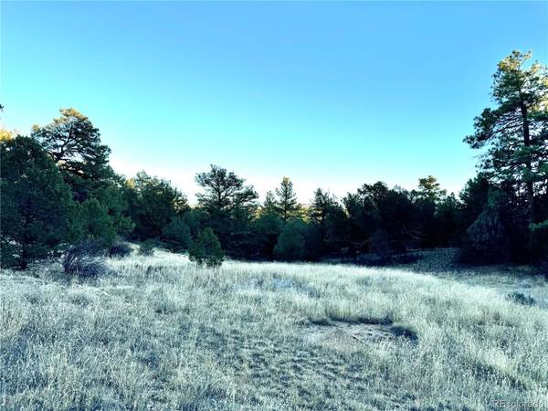 42nd Trail, Cotopaxi, CO 81223