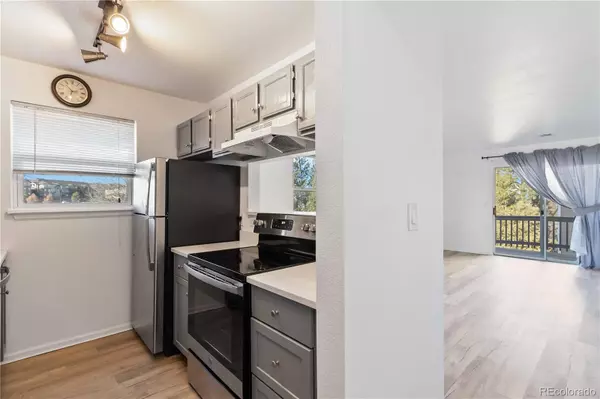 Castle Rock, CO 80104,1263 S Gilbert ST #B201