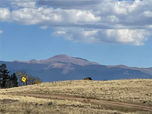 Florissant, CO 80816,309 Castle Mountain DR