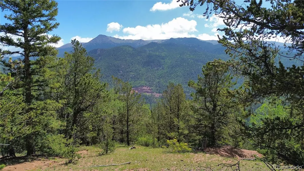 000 Four Mile RD, Divide, CO 80814