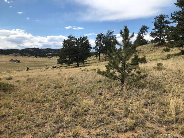 Hartsel, CO 80449,477 Goldenburg Canyon RD