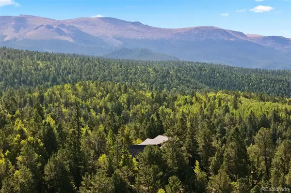 Divide, CO 80814,1010 Cantiberry RD