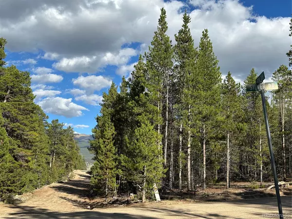 Leadville, CO 80461,143 Fir DR