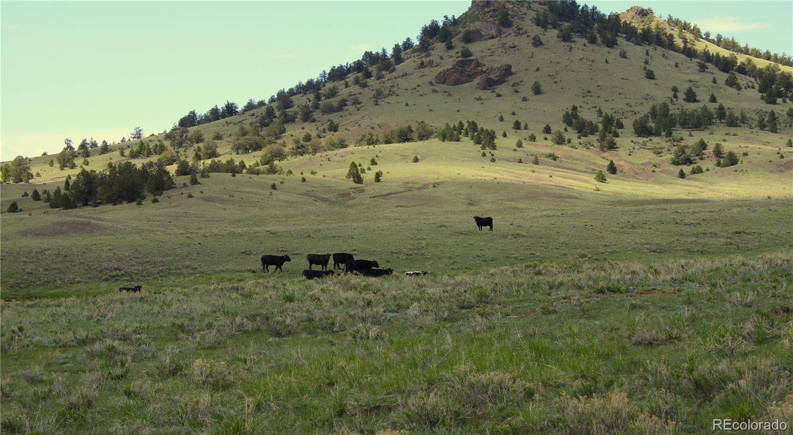 Guffey, CO 80820,State HWY