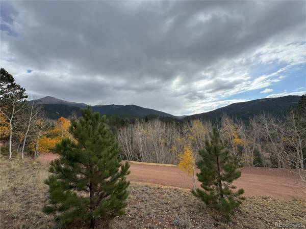 Divide, CO 80814,Pikes Peak DR