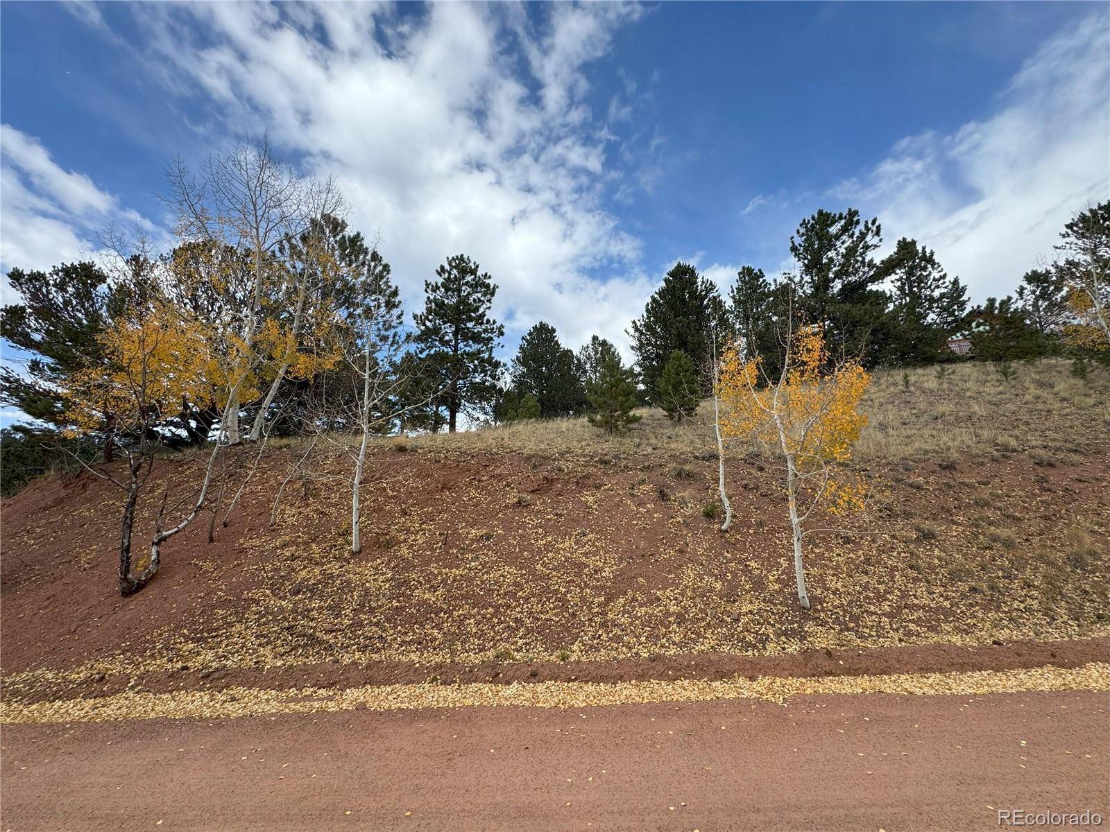 Divide, CO 80814,Pikes Peak DR