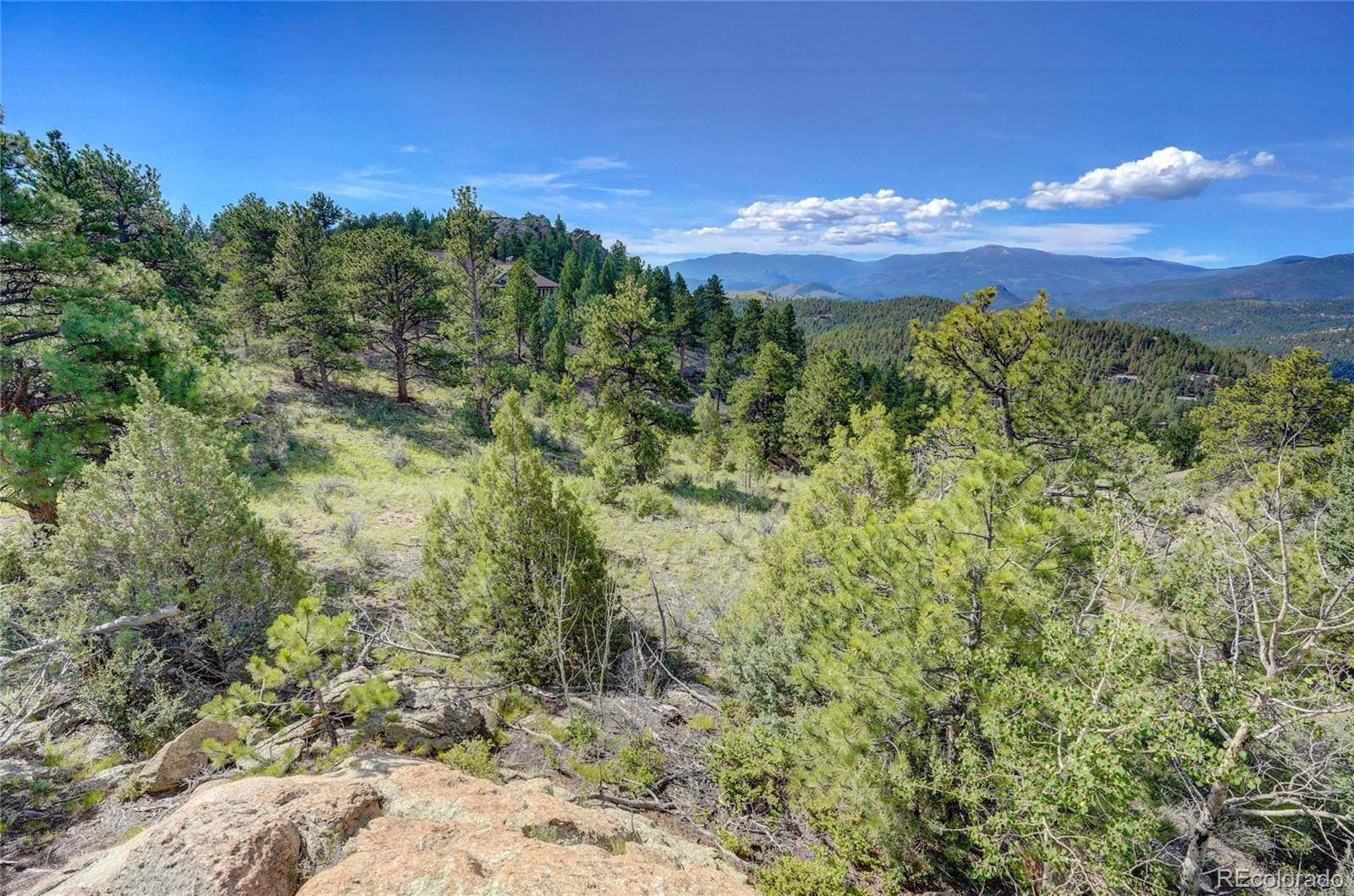 Pine, CO 80470,33608 Running Bear TRL