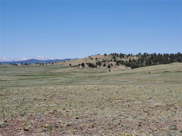 Caddo RD, Hartsel, CO 80449