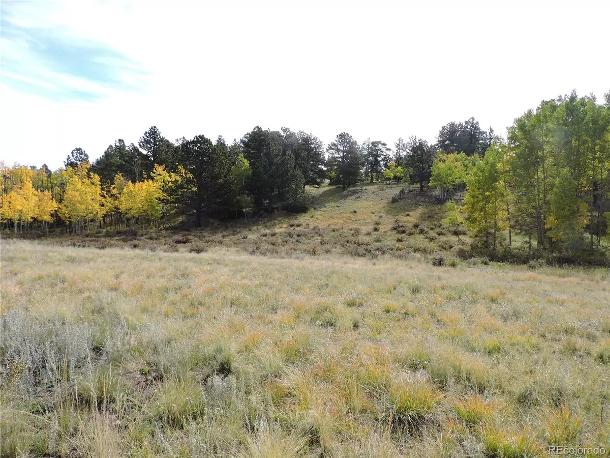 Lake George, CO 80827,400 Aspen Way DR