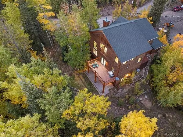 294 Mine Dump RD, Fairplay, CO 80440