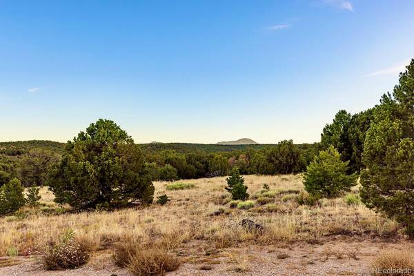 Walsenburg, CO 81089,CR 521