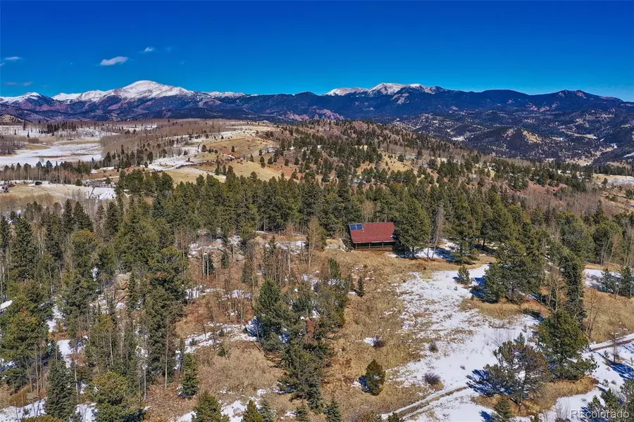 2879 County Road 863, Florissant, CO 80860