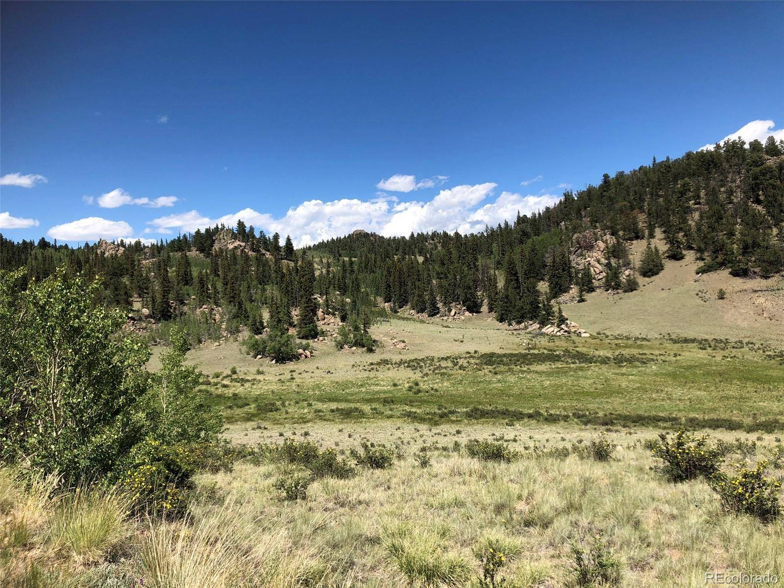 Jefferson, CO 80456,1135 Swiggler RD