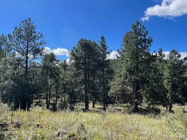 Conifer, CO 80433,TBD Barney Gulch RD