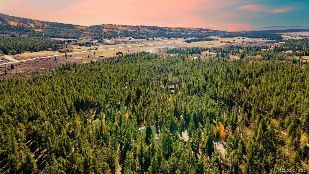 235 Willow LN, Fairplay, CO 80440