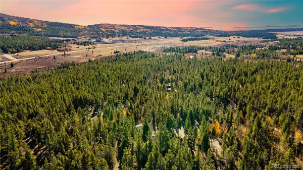 235 Willow LN, Fairplay, CO 80440