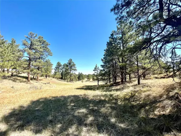 Deer Trail, CO 80105,22429 Amethyst RD