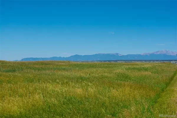 Peyton, CO 80831,15495 Atlas LOOP