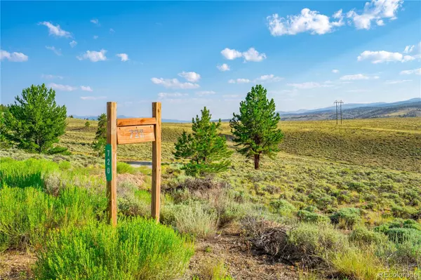 Twin Lakes, CO 81251,720 Carmen RD
