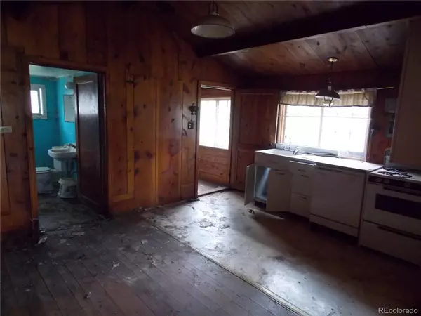 Woodland Park, CO 80863,222 S Fairview ST